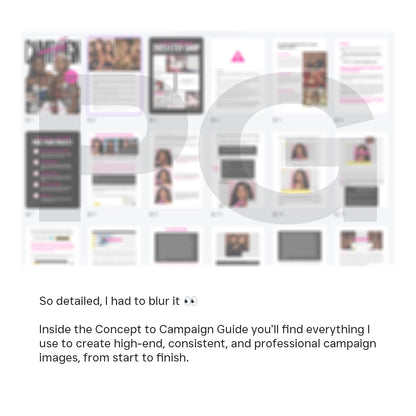 Concept to Campaign eBook (with screenshots and videos)